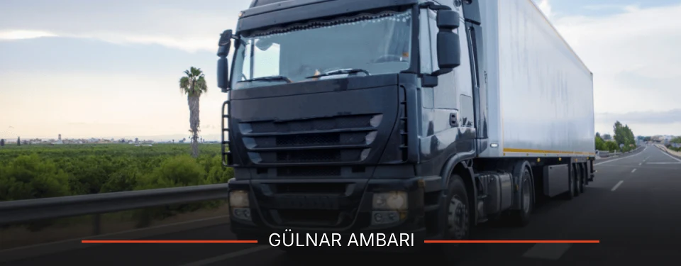 Gülnar Ambarı